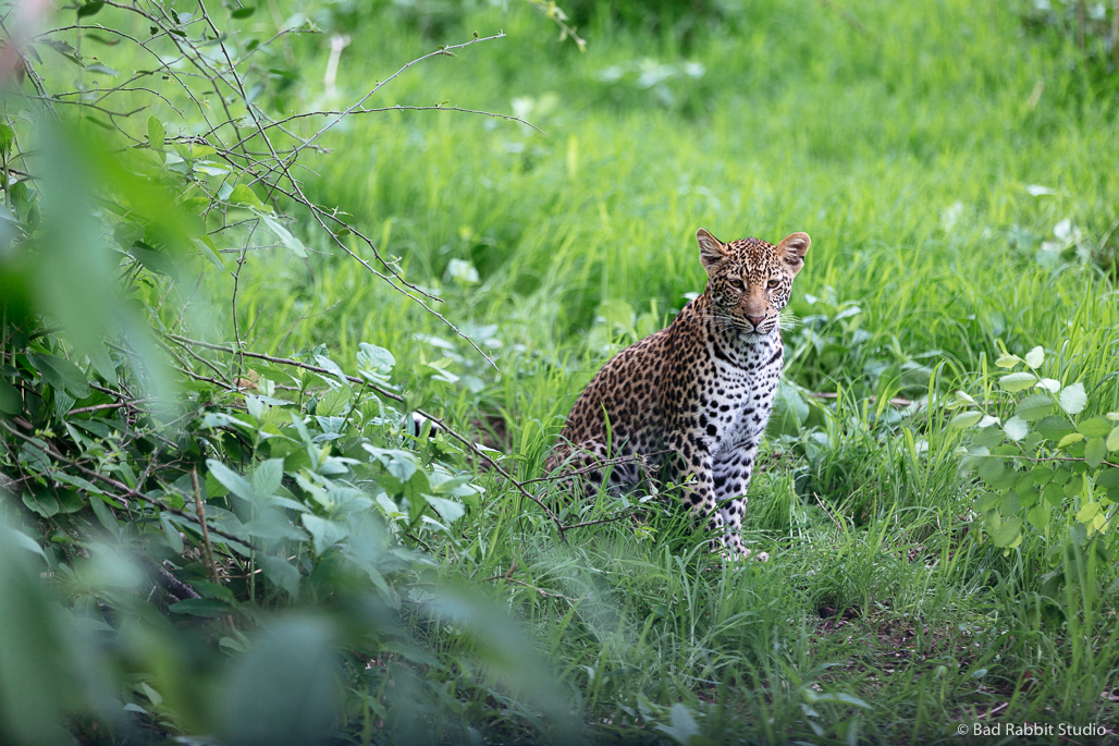 zambia travel